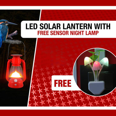 LED Solar Lantern with Free Smart Sensor Night Lamp